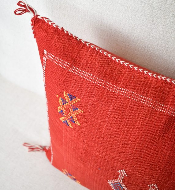 Red Cactus Silk Cushion